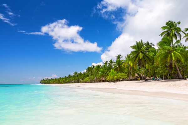 SPECIAL SAONA ISLAND TOUR PUNTA CANA – $135 - Image 5