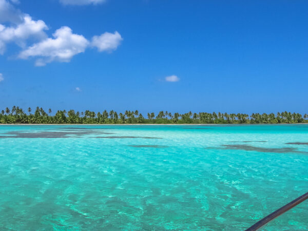 SPECIAL SAONA ISLAND TOUR PUNTA CANA – $135 - Image 6