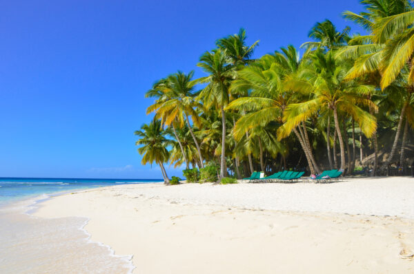 SPECIAL SAONA ISLAND TOUR PUNTA CANA – $135 - Image 3