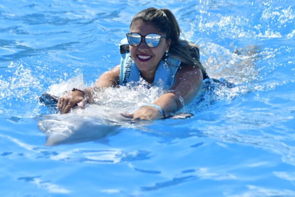 DOLPHIN EXPERIENCE - Swim Adventure - $149