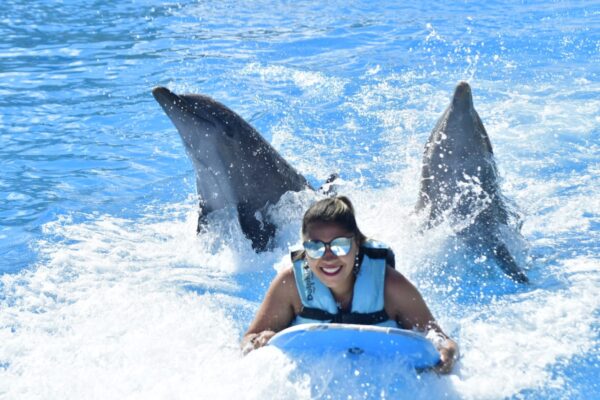 Dolphin Swim Adventure Punta Cana