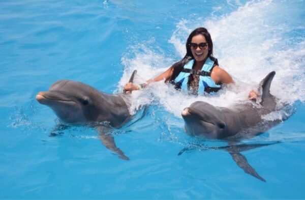 DOLPHIN EXPERIENCE - Encounter - $99 - Image 9