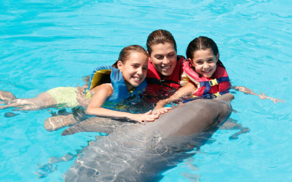 DOLPHIN EXPERIENCE - Encounter - $99 - Image 6